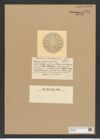 Actinocyclus fasciculatus Castr. (de-Toni-Nr.: Genus 195, Species 4776) Zeichnungen Sammlung Grunow Nr. 8409 (NHMW-BOT-W0377850)